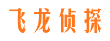 路南侦探公司